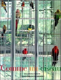 Comme un oiseau