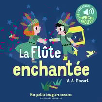 La flûte enchantée : des sons à écouter, des images à regarder
