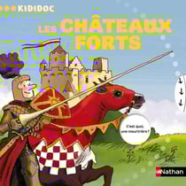 N05 - LES CHATEAUX FORTS