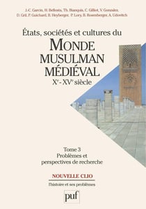 États, sociétés et cultures du monde musulman médiéval (Xe-XVe siècle). Tome 3 : Problèmes et perspectives de recherche