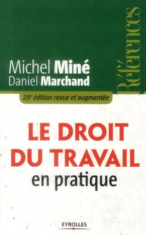 Le droit du travail en pratique (25e édition)