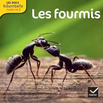 LES DOCS RIBAMBELLE : les fourmis - cycle 2