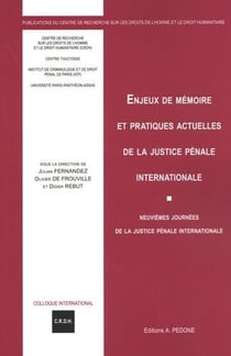 Enjeux de mémoire et pratiques actuelles de la justice pénale internationale : neuvièmes journées de la justice pénale internationale