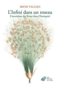 L'infini dans un roseau : l'invention des livres dans l'Antiquité