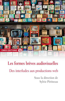 Les formes brèves audiovisuelles - des interludes aux productions web