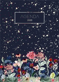 Agenda 2020 - agenda de poche et planificateur 2020 - organiseur et calendrier 2020 - agenda journalier et agenda semainier