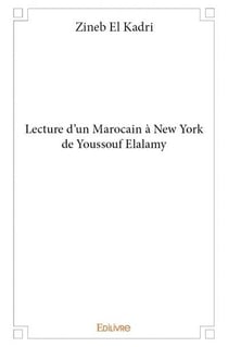 Lecture d'un marocain à new york de youssouf elalamy
