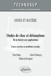 Ondes de choc et détonations - de la théorie aux applications (niveau C)