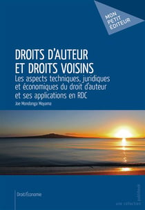 Droits d'auteur et droits voisins : les aspects techniques, juridiques et économiques du droit d'auteur et ses applications en RDC