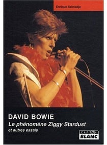 David bowie- le phénomène ziggy stardust et autres essais
