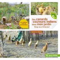 Des canards coureurs indiens dans mon jardin - stop aux limaces !
