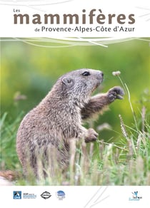 Les mammifères de provence-alpes-côte d'azur
