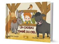 Un cadeau tombé du ciel (RIGIDE)