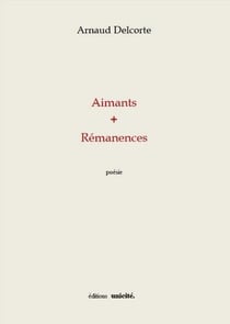 Aimants + rémanences