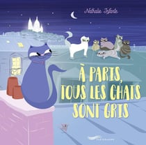 À Paris tous les chats sont gris