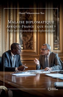 Malaise diplomatique Afrique-France : que faire ? Pour une réconciliation diplomatique