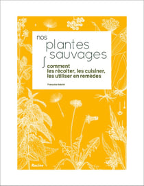 Nos plantes sauvages - comment les récolter, les cuisiner, les utiliser en remèdes