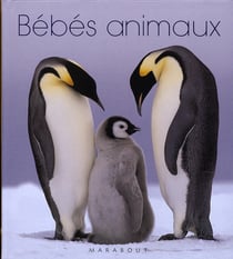 Bébés animaux