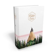 Bible Segond 21 Journal de bord rigide couverture illustrée