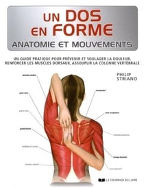 Un dos en forme - anatomie et mouvements