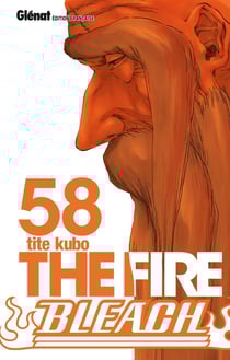 Bleach Tome 58 : the fire