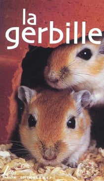 La gerbille