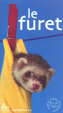 Le furet