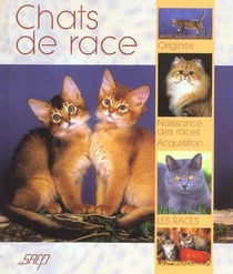 Avoir un chat