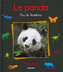 Le panda fou des bambous