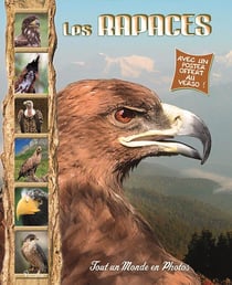 Tout un monde en photos - les rapaces