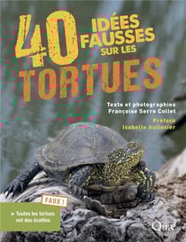 40 idées fausses sur les tortues