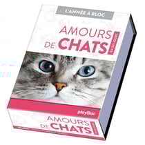 Calendrier Amours de chats en 365 jours - L'Année à bloc