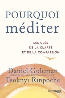 Pourquoi méditer : les clés de la clarté et de la compassion