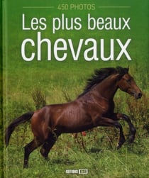 Les plus beaux chevaux - 450 photos