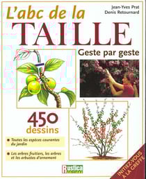 Abc de la taille (l')