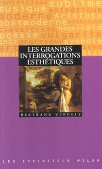 Les grandes interrogations esthetiques