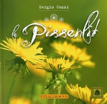 Le pissenlit, de la fleur et des racines