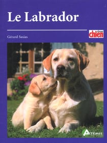 Le labrador