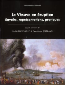 Le Vésuve en éruption : Savoirs, représentations, pratiques
