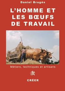 L'homme et les boeufs de travail