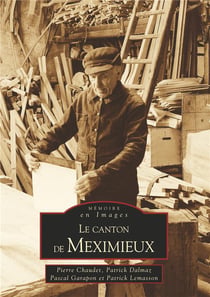 Le canton de meximieux