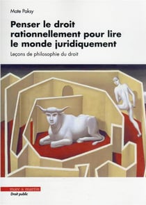 Penser le droit rationnellement pour lire le monde juridiquement