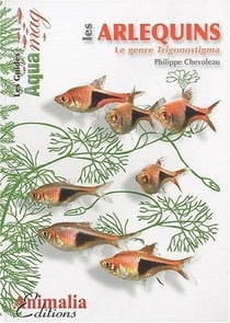 Les arlequins