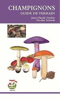 Champignons : guide de terrain