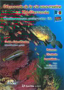 Découverte de la vie sous-marine en Méditerranée - guide d'identification - poisson, crustacés, invertébrés
