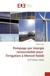 Pompage par énergie renouvelable pour l'irrigation à Menzel Habib : Sud Tunisien, Gabès