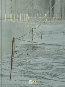 Silja yvette collective creatures