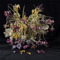 Anna halm schudel blossom