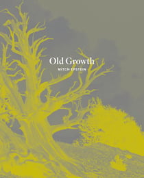 Mitch Epstein : Old growth