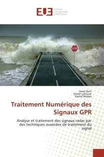 Traitement numérique des signaux GPR - analyse et traitement des signaux radar par des techniques avancées de traitement du signal